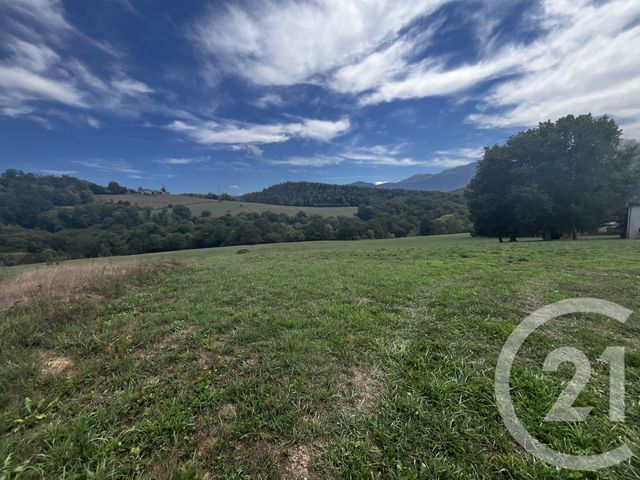 Terrain &agrave; vendre - 4315 m2 - Benque Molere - 65 - MIDI-PYRENEES