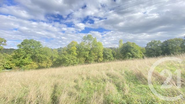Terrain &agrave; vendre - 6977 m2 - Uglas - 65 - MIDI-PYRENEES