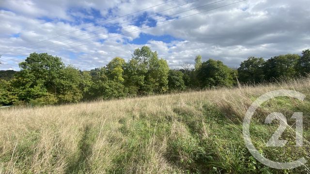 Terrain &agrave; vendre - 6977 m2 - Uglas - 65 - MIDI-PYRENEES