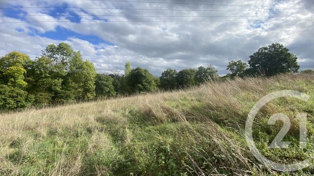 Terrain &agrave; vendre - 6977 m2 - Uglas - 65 - MIDI-PYRENEES
