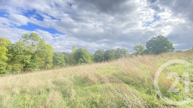 Terrain &agrave; vendre - 6977 m2 - Uglas - 65 - MIDI-PYRENEES