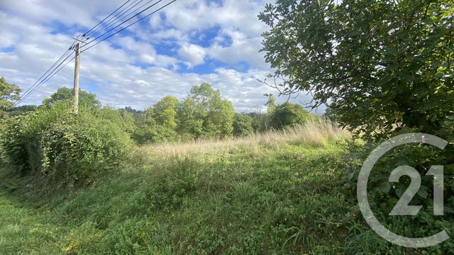 Terrain &agrave; vendre - 6977 m2 - Uglas - 65 - MIDI-PYRENEES