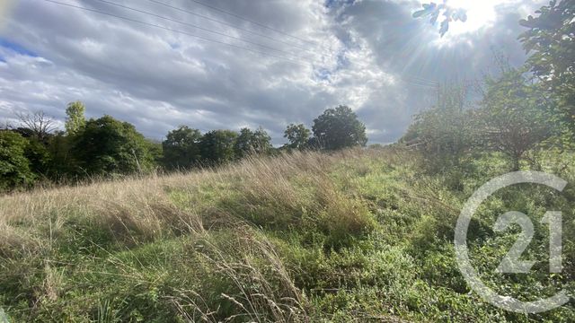 Terrain &agrave; vendre - 6977 m2 - Uglas - 65 - MIDI-PYRENEES