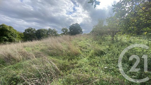 Terrain &agrave; vendre - 6977 m2 - Uglas - 65 - MIDI-PYRENEES