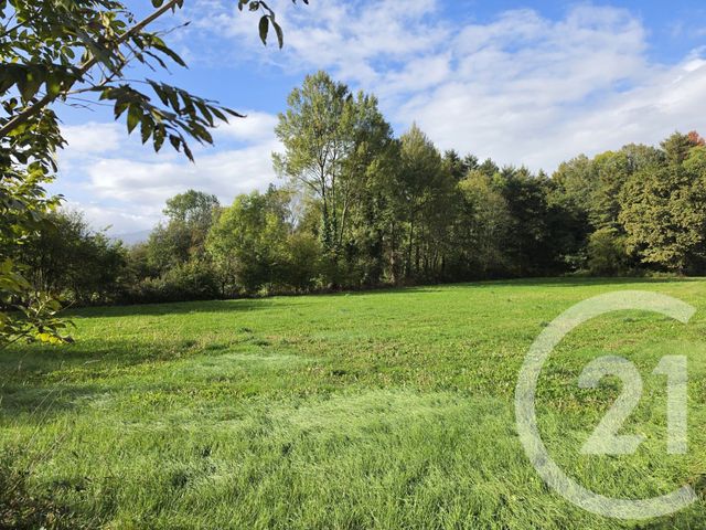 Terrain &agrave; vendre - 3900 m2 - Tuzaguet - 65 - MIDI-PYRENEES