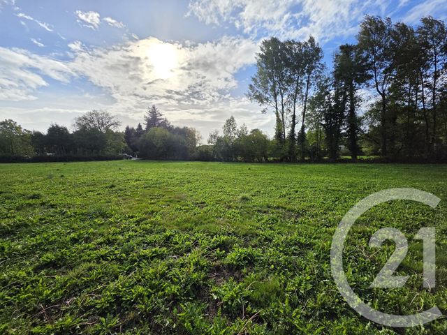 Terrain &agrave; vendre - 3900 m2 - Tuzaguet - 65 - MIDI-PYRENEES