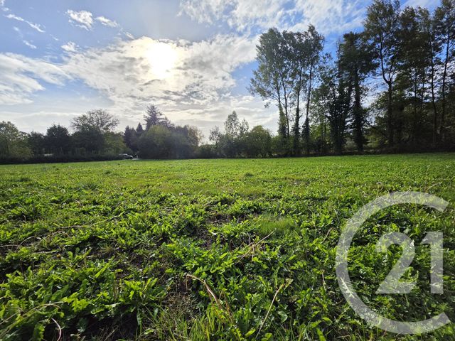 Terrain &agrave; vendre - 3900 m2 - Tuzaguet - 65 - MIDI-PYRENEES