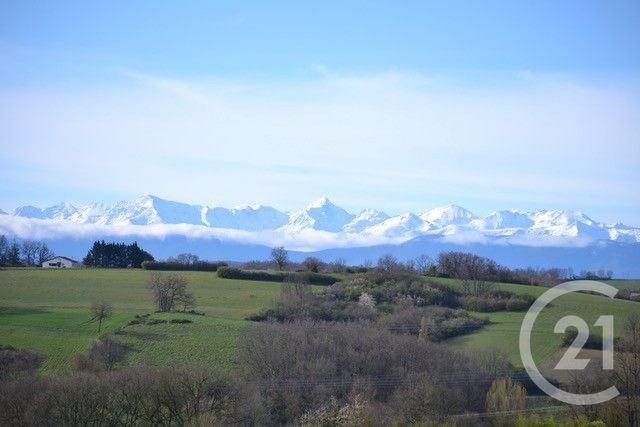 Maison à vendre - 5 pièces - 150 m2 - Fabas - 31 - MIDI-PYRENEES