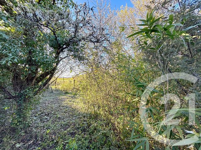 Maison à vendre - 4 pièces - 75 m2 - Maine De Boixe - 16 - POITOU-CHARENTES