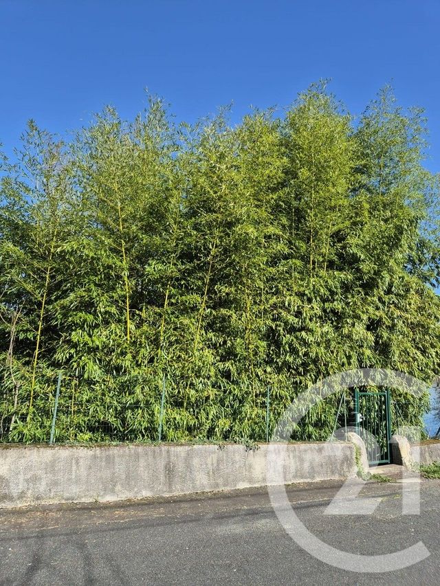 Terrain &agrave; vendre - 146 m2 - Magnac Sur Touvre - 16 - POITOU-CHARENTES