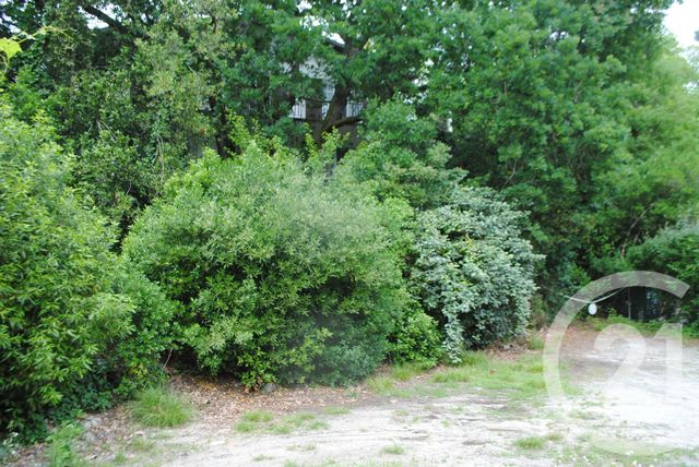 Maison &agrave; vendre - 11 pi&egrave;ces - 207,74 m2 - Arcachon - 33 - AQUITAINE