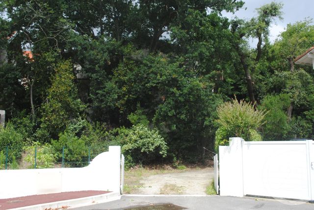 Maison &agrave; vendre - 11 pi&egrave;ces - 207,74 m2 - Arcachon - 33 - AQUITAINE