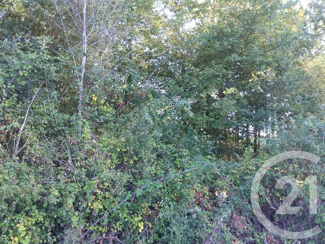 Terrain &agrave; vendre - 890 m2 - Betaille - 46 - MIDI-PYRENEES