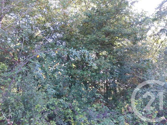 Terrain &agrave; vendre - 890 m2 - Betaille - 46 - MIDI-PYRENEES