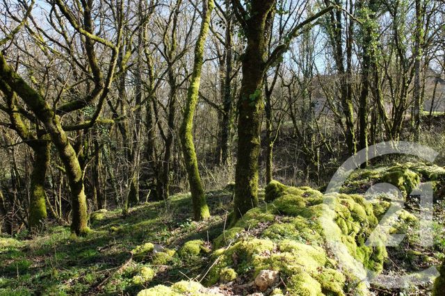 Maison &agrave; vendre - 3 pi&egrave;ces - 48 m2 - Baladou - 46 - MIDI-PYRENEES