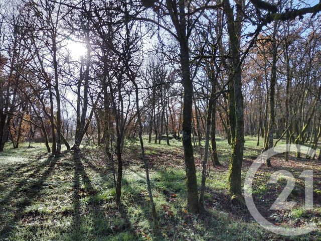 Terrain à vendre - 4375 m2 - Montvalent - 46 - MIDI-PYRENEES