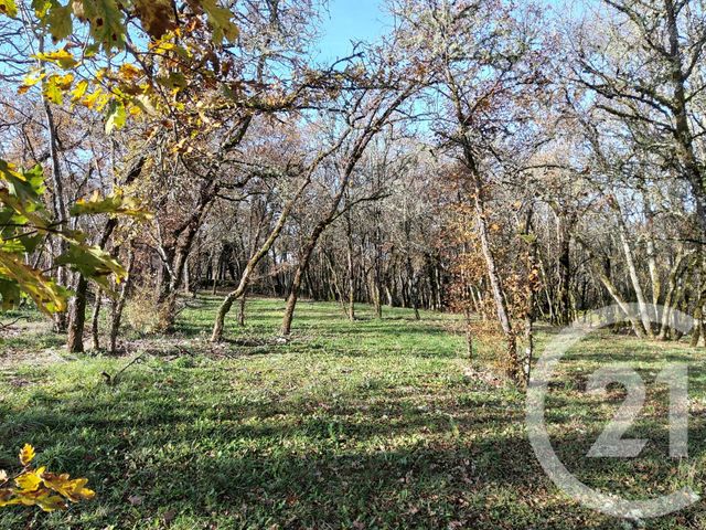 Terrain à vendre - 4375 m2 - Montvalent - 46 - MIDI-PYRENEES