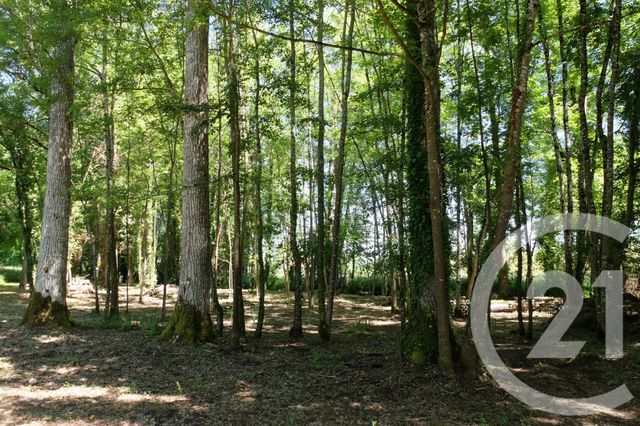 Maison à vendre - 6 pièces - 182 m2 - Les Quatre Routes Du Lot - 46 - MIDI-PYRENEES