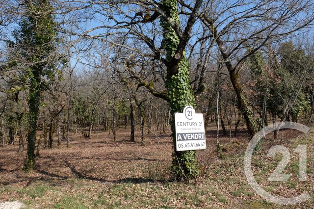 Terrain à vendre - 3143 m2 - Cuzance - 46 - MIDI-PYRENEES