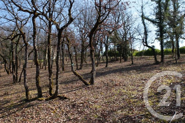 Terrain à vendre - 3143 m2 - Cuzance - 46 - MIDI-PYRENEES