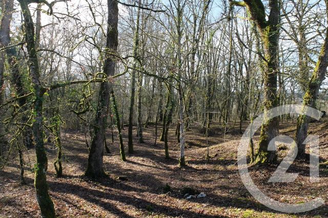 Terrain &agrave; vendre - 1255 m2 - Baladou - 46 - MIDI-PYRENEES