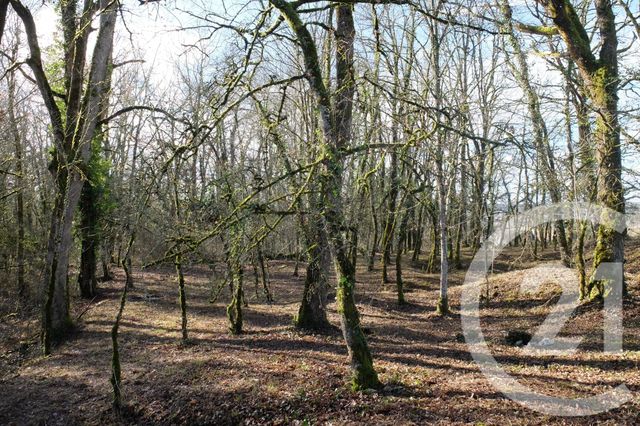 Terrain &agrave; vendre - 1255 m2 - Baladou - 46 - MIDI-PYRENEES