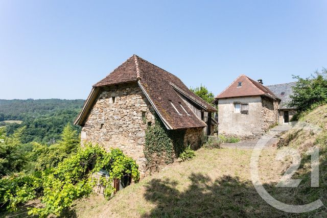 maison - BASSIGNAC LE BAS - 19