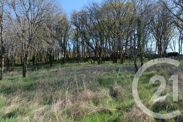 Terrain à vendre MARTEL