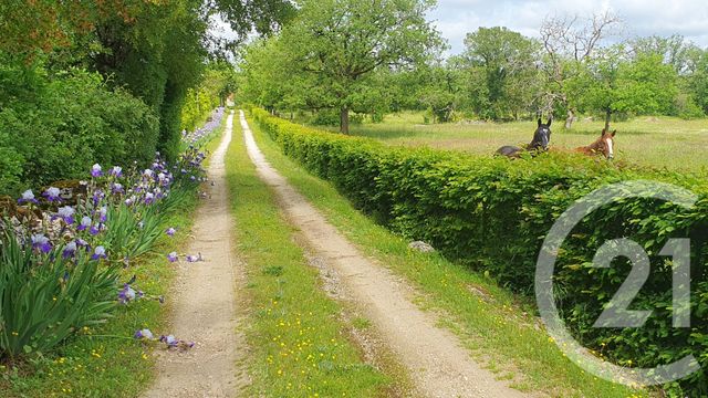 Maison &agrave; vendre - 12 pi&egrave;ces - 370 m2 - Montvalent - 46 - MIDI-PYRENEES