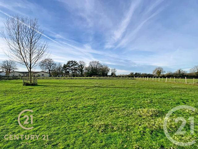 Maison &agrave; vendre - 5 pi&egrave;ces - 135,14 m2 - Le Cellier - 44 - PAYS-DE-LOIRE