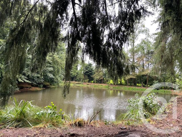 Terrain à vendre - 4711 m2 - La Chapelle Janson - 35 - BRETAGNE