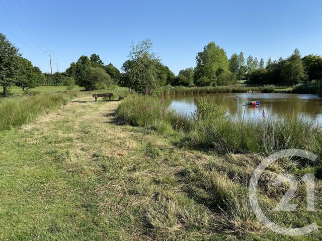 Terrain à vendre - 20000 m2 - La Bazouge Du Desert - 35 - BRETAGNE