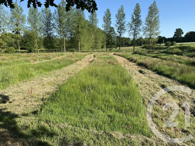 Terrain à vendre - 20000 m2 - La Bazouge Du Desert - 35 - BRETAGNE
