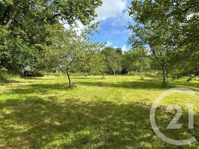 Terrain &agrave; vendre - 3550 m2 - Maen Roch - 35 - BRETAGNE