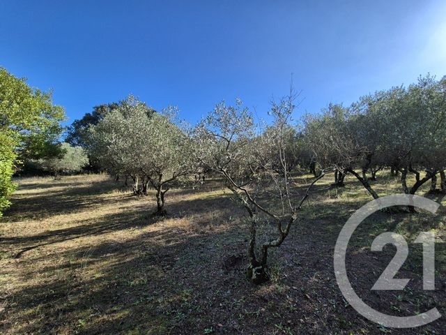 Maison &agrave; vendre - 7 pi&egrave;ces - 149,56 m2 - Sommieres - 30 - LANGUEDOC-ROUSSILLON