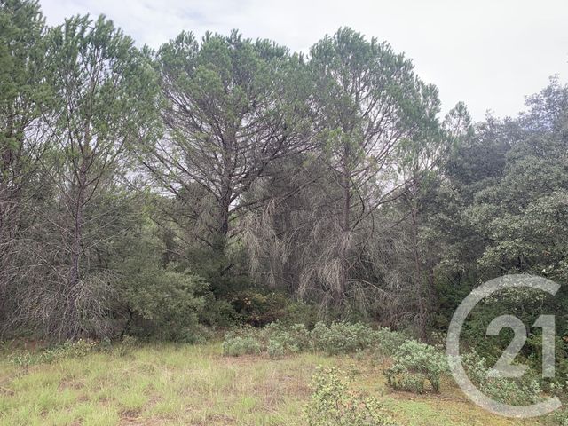 Terrain &agrave; vendre - 1550 m2 - Aujargues - 30 - LANGUEDOC-ROUSSILLON