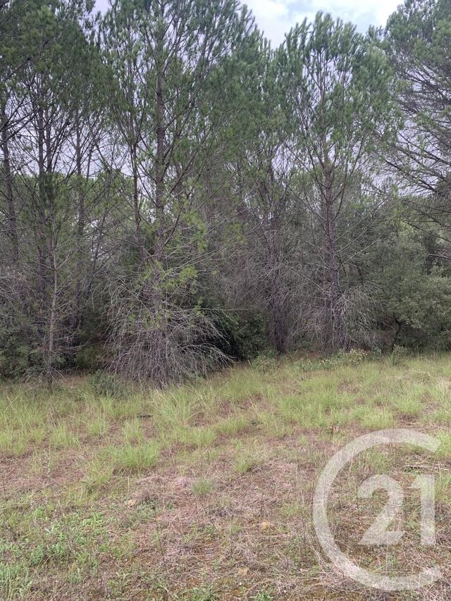 Terrain &agrave; vendre - 1550 m2 - Aujargues - 30 - LANGUEDOC-ROUSSILLON