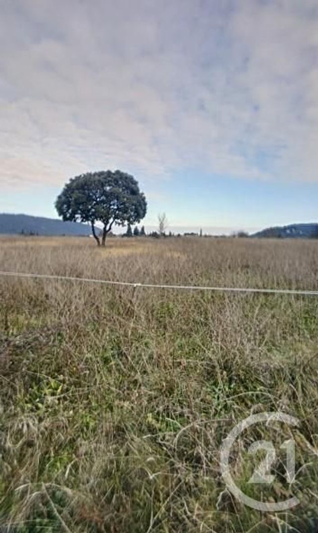 Terrain &agrave; vendre - 4778 m2 - Montmirat - 30 - LANGUEDOC-ROUSSILLON