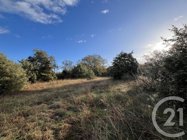Terrain &agrave; vendre - 1000 m2 - Sauve - 30 - LANGUEDOC-ROUSSILLON