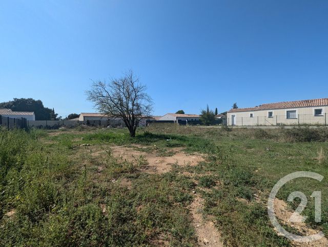 Terrain &agrave; vendre - 700 m2 - Villevieille - 30 - LANGUEDOC-ROUSSILLON