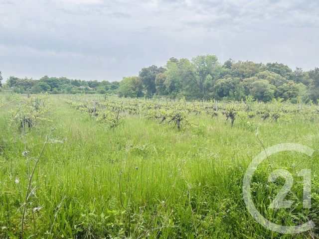 Terrain &agrave; vendre - 2930 m2 - Galargues - 34 - LANGUEDOC-ROUSSILLON