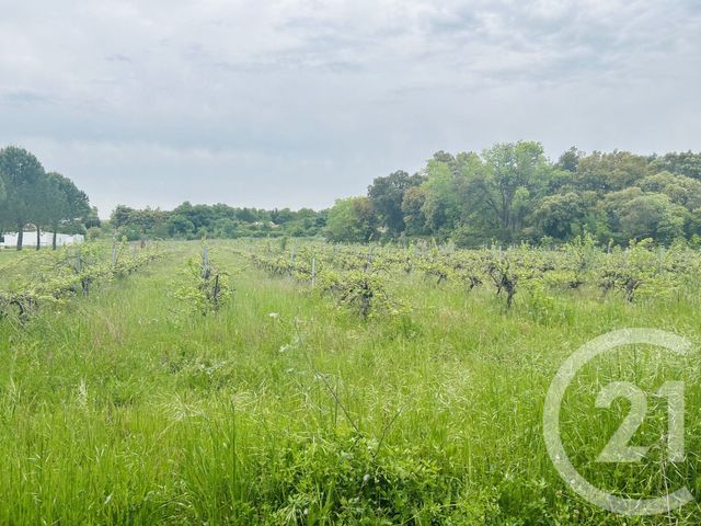 Terrain &agrave; vendre - 2930 m2 - Galargues - 34 - LANGUEDOC-ROUSSILLON