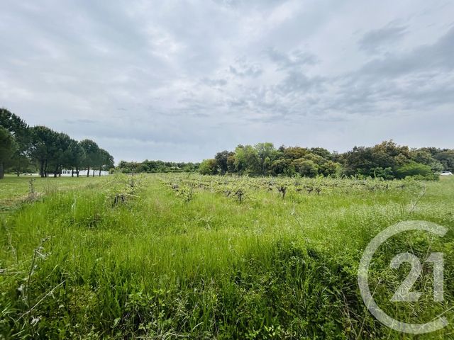 Terrain &agrave; vendre - 2930 m2 - Galargues - 34 - LANGUEDOC-ROUSSILLON