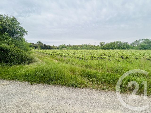 Terrain &agrave; vendre - 6990 m2 - Galargues - 34 - LANGUEDOC-ROUSSILLON