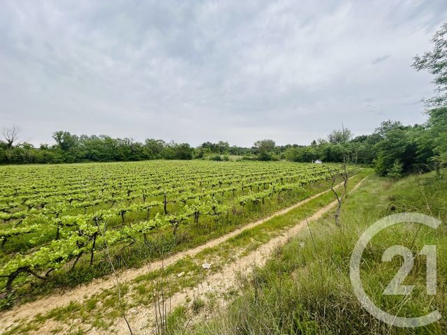 Terrain &agrave; vendre - 6990 m2 - Galargues - 34 - LANGUEDOC-ROUSSILLON