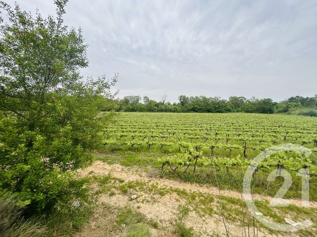 Terrain &agrave; vendre - 6990 m2 - Galargues - 34 - LANGUEDOC-ROUSSILLON