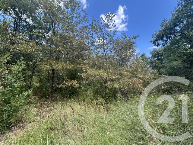 Terrain &agrave; vendre - 6420 m2 - Aujargues - 30 - LANGUEDOC-ROUSSILLON