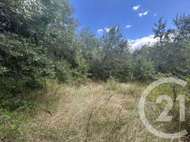 Terrain &agrave; vendre - 6420 m2 - Aujargues - 30 - LANGUEDOC-ROUSSILLON