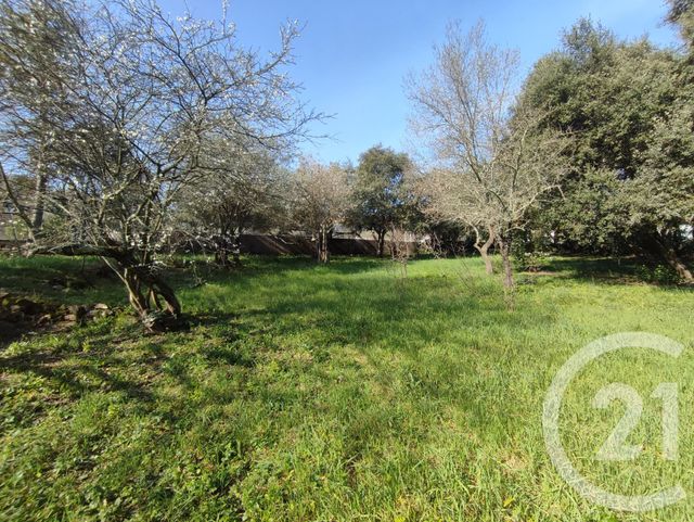 terrain - QUISSAC - 30