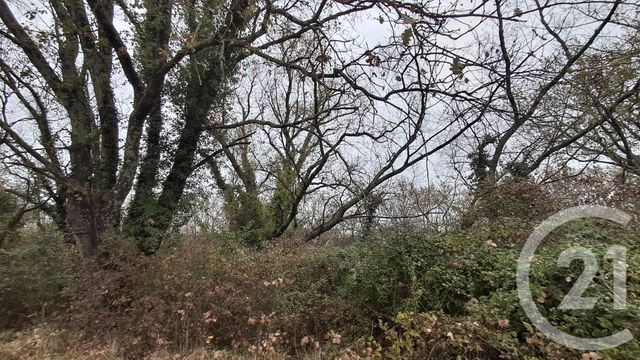 terrain - SARDAN - 30